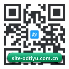 系统版 iOS 二维码